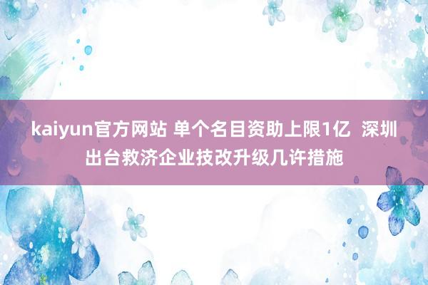 kaiyun官方网站 单个名目资助上限1亿  深圳出台救济企业技改升级几许措施