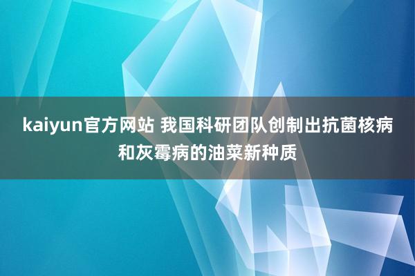 kaiyun官方网站 我国科研团队创制出抗菌核病和灰霉病的油菜新种质