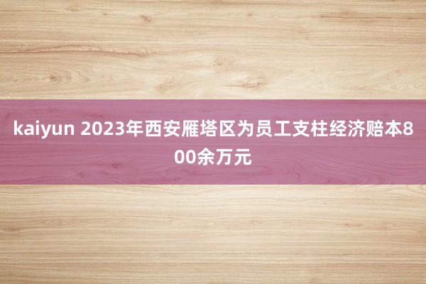 kaiyun 2023年西安雁塔区为员工支柱经济赔本800余万元