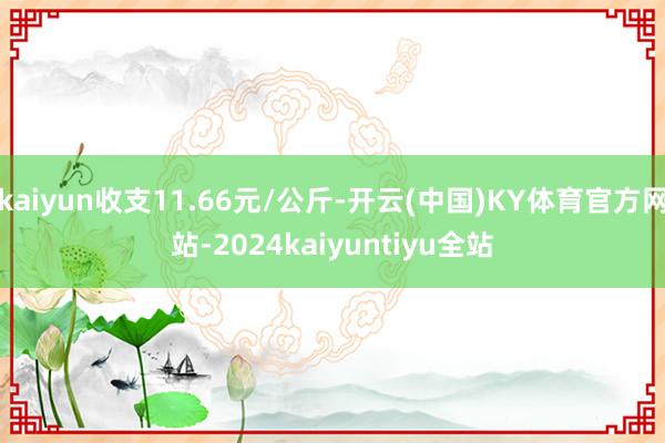 kaiyun收支11.66元/公斤-开云(中国)KY体育官方网站-2024kaiyuntiyu全站