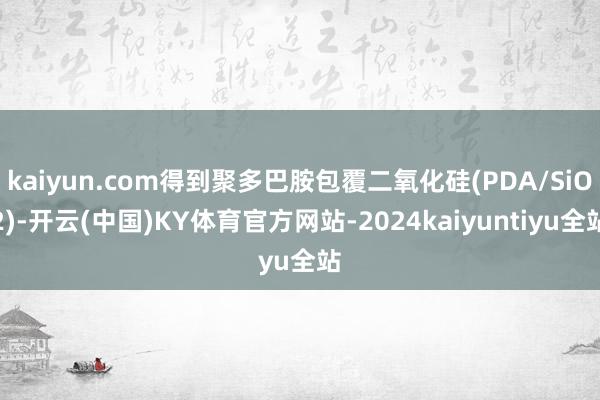 kaiyun.com得到聚多巴胺包覆二氧化硅(PDA/SiO2)-开云(中国)KY体育官方网站-2024kaiyuntiyu全站