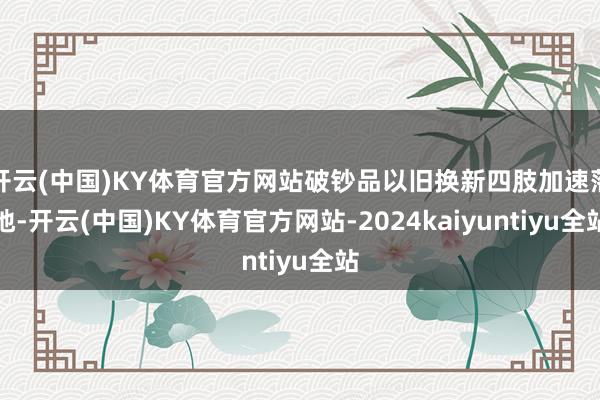 开云(中国)KY体育官方网站破钞品以旧换新四肢加速落地-开云(中国)KY体育官方网站-2024kaiyuntiyu全站