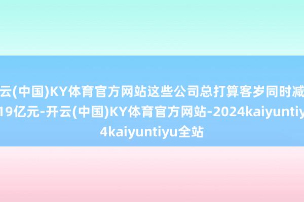 开云(中国)KY体育官方网站这些公司总打算客岁同时减少了20.19亿元-开云(中国)KY体育官方网站-2024kaiyuntiyu全站