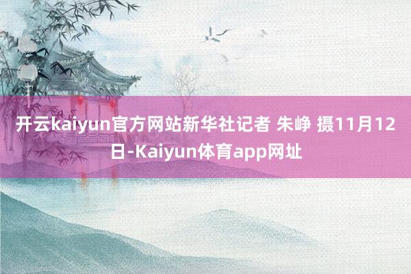 开云kaiyun官方网站新华社记者 朱峥 摄　　11月12日-Kaiyun体育app网址