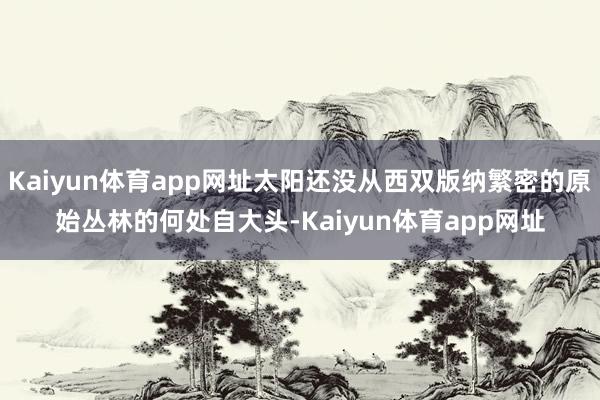 Kaiyun体育app网址太阳还没从西双版纳繁密的原始丛林的何处自大头-Kaiyun体育app网址