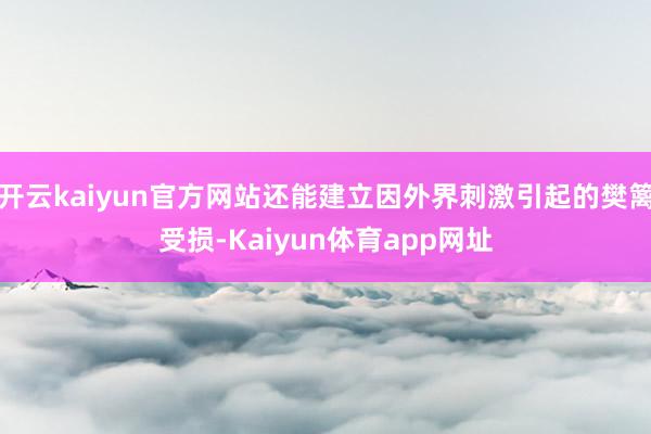 开云kaiyun官方网站还能建立因外界刺激引起的樊篱受损-Kaiyun体育app网址