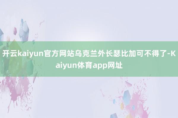 开云kaiyun官方网站乌克兰外长瑟比加可不得了-Kaiyun体育app网址