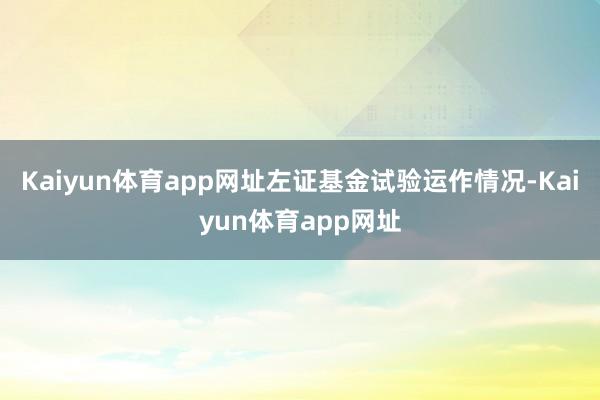 Kaiyun体育app网址左证基金试验运作情况-Kaiyun体育app网址