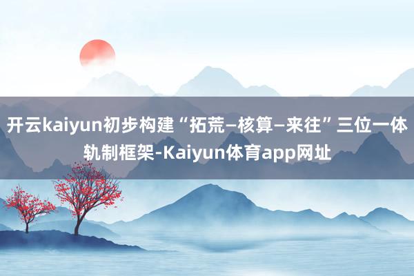 开云kaiyun初步构建“拓荒—核算—来往”三位一体轨制框架-Kaiyun体育app网址