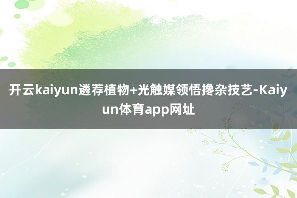 开云kaiyun遴荐植物+光触媒领悟搀杂技艺-Kaiyun体育app网址